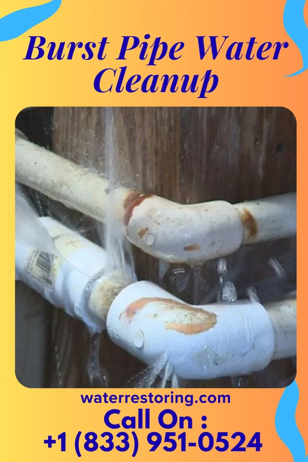 Burst Pipe Water Cleanup in Terrace Park, OH