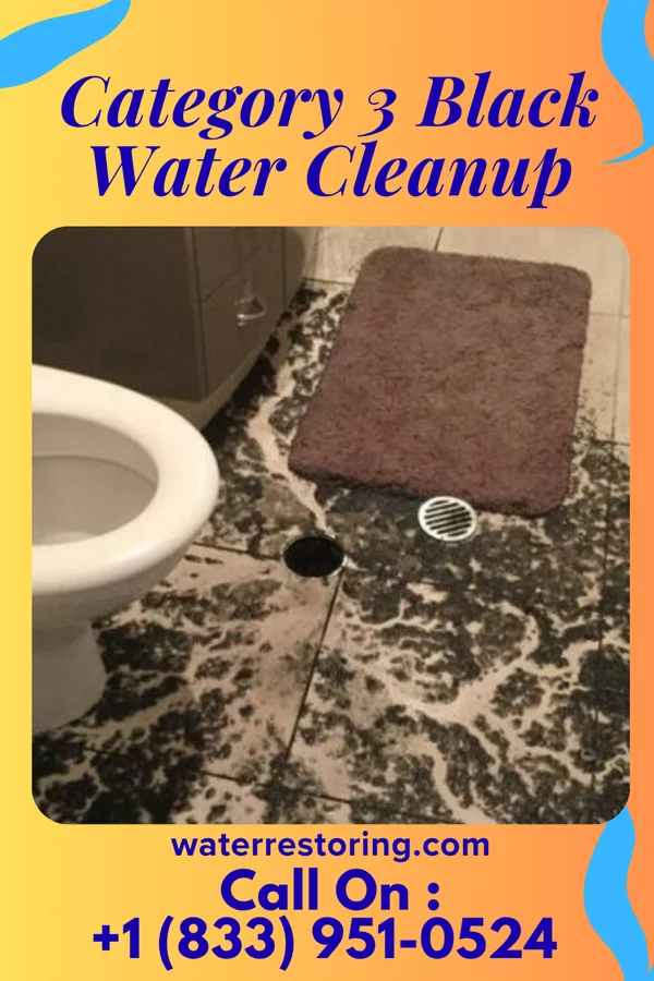 Category 3 Black Water Cleanup in Terrace Park, OH