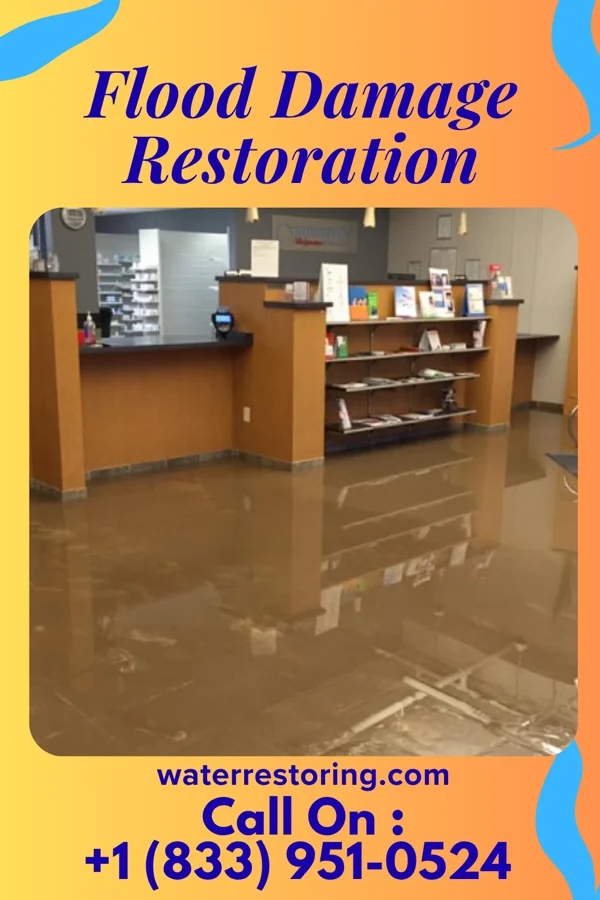 Flood Damage Restoration in Terrace Park, OH