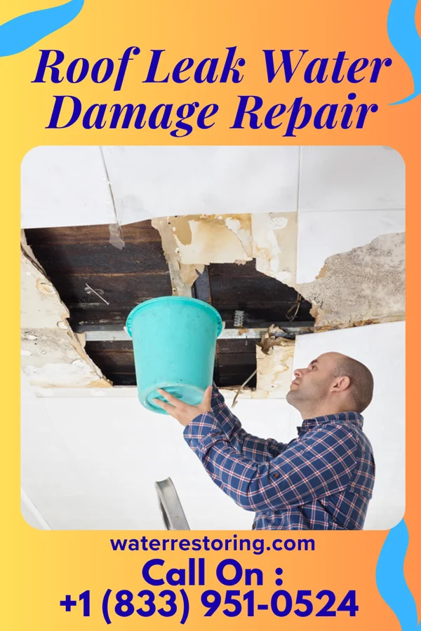 Roof Leak Water Damage Repair in Terrace Park, OH