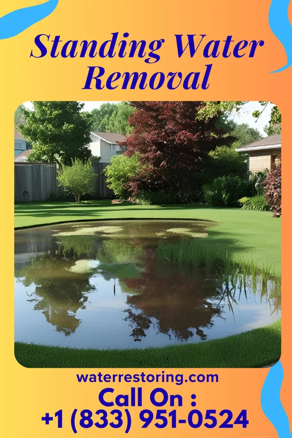 Standing Water Removal in Terrace Park, OH